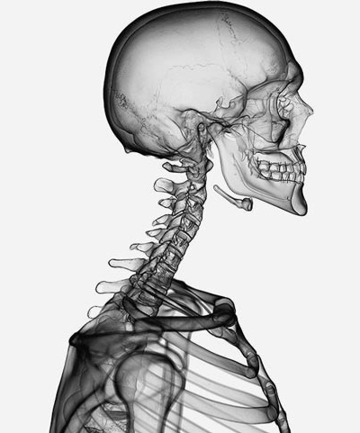 chiropractor-near-me Chiropractor Near Me